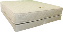 Dream Maker III : Plush