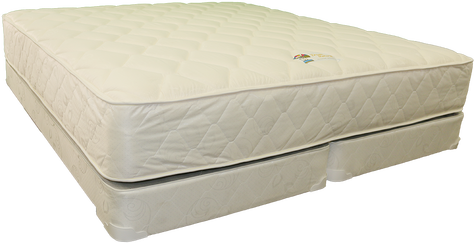 Dream Maker III : Super Plush